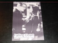 9649: Falling Down - Ein ganz normaler Tag ( Joel Schumacher ) Michael Douglas, Robert Duvall, Barbara Hershey, Rachel Ticotin,